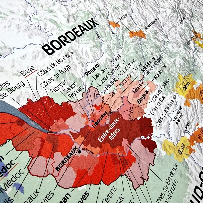 Gros plan sur le vignoble de Bordeaux : Médoc, Saint-Émilion, Pomerol, Entre-deux-Mers