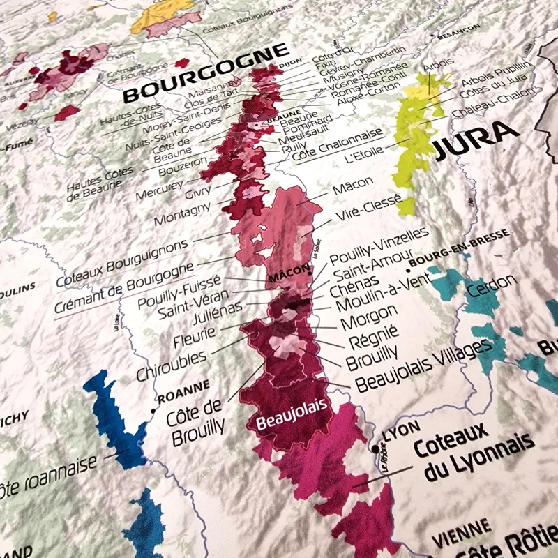Gros plan sur la Bourgogne et le Beaujolais : Côte de Nuits, Côte de Beaune, crus du Beaujolais