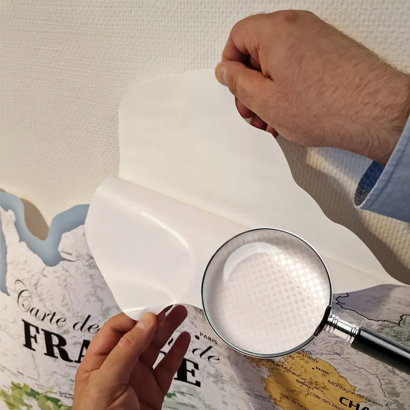 Micro-ventouses du sticker mural vues à la loupe au dos de la carte